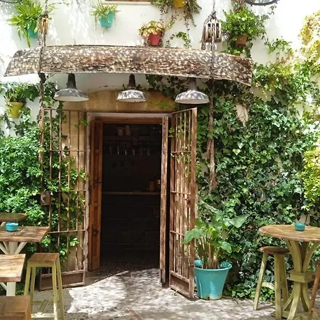 Sherryflat Castilla Internet 500 Megas